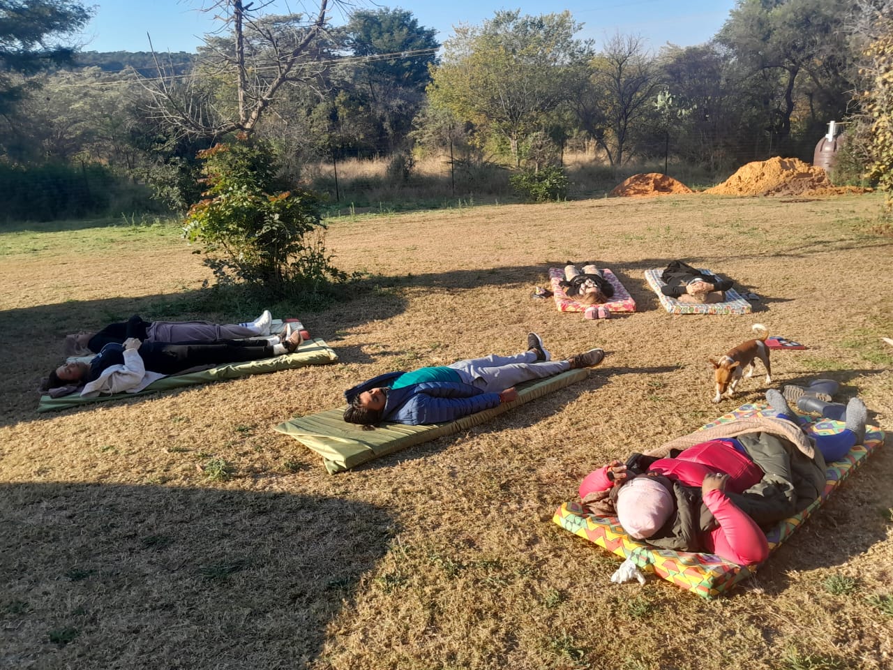 Body Detox & Reset Retreat