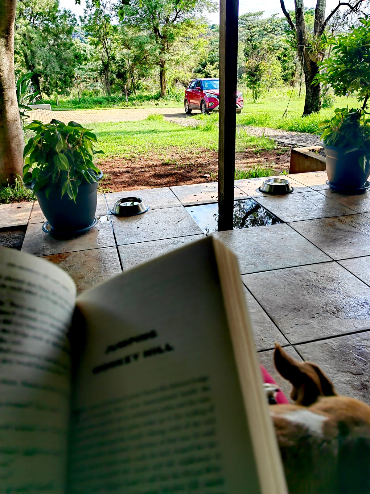 10 Days Healing Retreats
